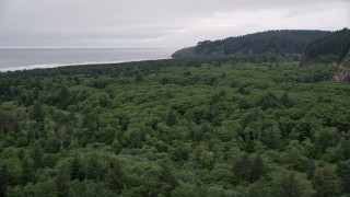 AX56_102E - 5K aerial stock footage fly over Cape Disappointment State Park, reveal empty beach near North Head Light, Ilwaco, Washington