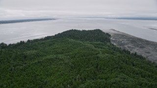 AX56_150 - 5K aerial stock footage of evergreen forest and marshy shore on Long Island, Washington