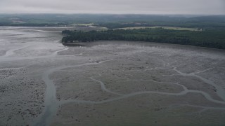 AX56_154 - 5K aerial stock footage of wetlands on the shore of Willapa Bay, Washington