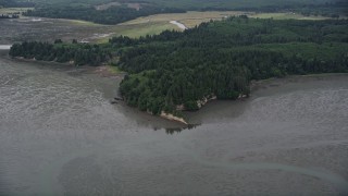 AX56_155 - 5K aerial stock footage of evergreen forest and wetlands on the shore of Willapa Bay, Nemah, Washington