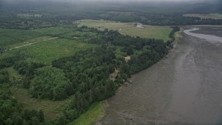 AX56_156 - 5K aerial stock footage of evergreen forest by wetlands on the shore of Willapa Bay, Nemah, Washington