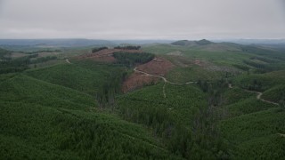 AX56_164 - 5K aerial stock footage approach a road winding through clear cut area by evergreen forest in Pacific County, Washington