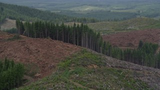 AX56_165 - 5K aerial stock footage of evergreen trees on the edge of a logging area in Pacific County, Washington