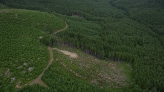 AX56_166E - 5K aerial stock footage of clear cut logging area on the edge of an evergreen forest in Pacific County, Washington