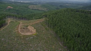 AX56_169 - 5K aerial stock footage of dirt road through a logging area and into an evergreen forest in Pacific County, Washington