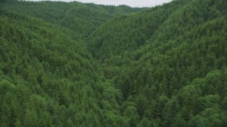 AX56_184 - 5K stock footage aerial video fly between hills covered in evergreen forest in Pacific County, Washington