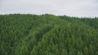 AX56_185 - 5K aerial stock footage of flying over evergreen forest covering a hill in Pacific County, Washington