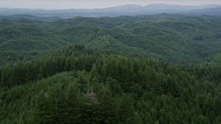 AX57_003 - 5K aerial stock footage fly over forest-covered hill to approach more hills in the background in Satsop, Washington