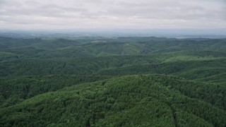 AX57_020 - 5K aerial stock footage flyby a wide expanse of evergreen forest in Grays Harbor County, Washington