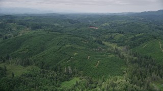 AX57_021 - 5K aerial stock footage of an expanse of evergreen forest in Grays Harbor County, Washington