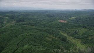 AX57_022 - 5K aerial stock footage of lush evergreen forest in Grays Harbor County, Washington