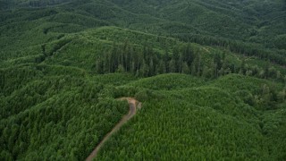 AX57_025 - 5K aerial stock footage approach a road ending in an evergreen forest in Grays Harbor County, Washington