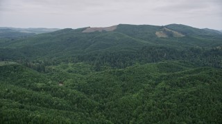 AX57_026 - 5K aerial stock footage of logging areas on a hill seen from evergreen forest in Mason County, Washington