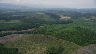 AX57_029 - 5K aerial stock footage of a forest logging area and road in Mason County, Washington