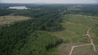 AX58_012 - 5K aerial stock footage tilt from railroad tracks through trees to dirt roads through a logging area in Grapeview, Washington