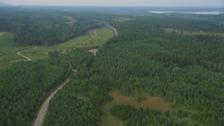AX58_016 - 5K aerial stock footage fly over evergreen forest beside a road and logging area in Grapeview, Washington