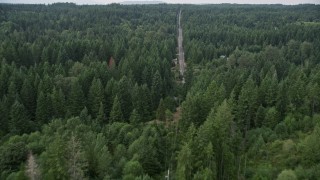 AX58_031E - 5K aerial stock footage of Wright Bliss Road through evergreen forest in Gig Harbor, Washington