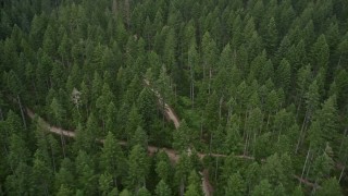 AX58_040 - 5K aerial stock footage of flying over country roads through a forest, Gig Harbor, Washington