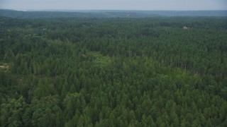 AX58_048 - 5K aerial stock footage fly over evergreen forest in Olalla, Washington