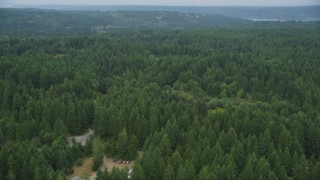 AX58_050 - 5K aerial stock footage fly over rural homes partially hidden by evergreen trees in Olalla, Washington