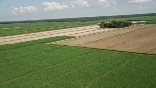 AX60_050 - 5K aerial stock footage fly over sugar cane fields to approach harvested areas in Vacherie, Louisiana