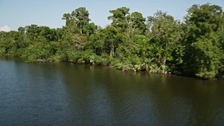 AX60_072 - 5K aerial stock footage of trees and swamp bordering a river, St. John the Baptist Parish, Louisiana