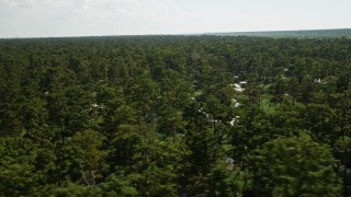 AX60_081 - 5K aerial stock footage of passing by trees and water in a swamp in St. John the Baptist Parish, Louisiana