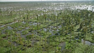 AX60_085E - 5K aerial stock footage of flying over a river and swamp in St. Charles Parish, Louisiana