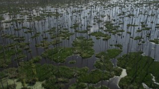AX60_087 - 5K aerial stock footage of flying over a swamp in St. Charles Parish, Louisiana