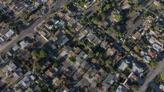 AX64_0037 - 5K aerial stock footage of bird's eye view of residential neighborhoods, Sun Valley, California