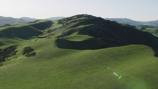 AX70_120 - 4K stock footage aerial video Fly over green hilltops and trees in Hollister, California