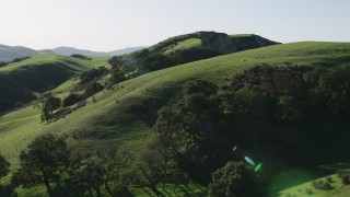 AX70_122 - 4K stock footage aerial video Flying over tall trees on green hilltops in Hollister, California
