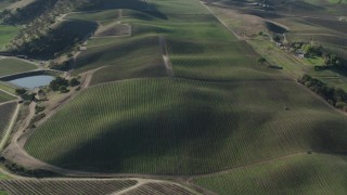 AX70_132 - 4K aerial stock footage Fly over vineyards in Paicines, California