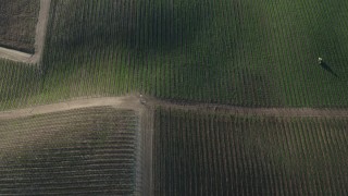 AX70_134 - 4K aerial stock footage Bird's eye view of hilly vineyards in Paicines, California