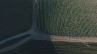 AX70_135 - 4K aerial stock footage A bird's eye view of roads and vineyards in Paicines, California