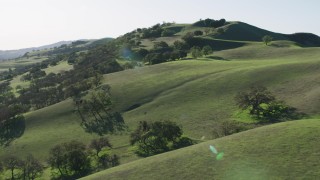 AX70_143 - 4K aerial stock footage Fly over hillsides and trees in Paicines, California