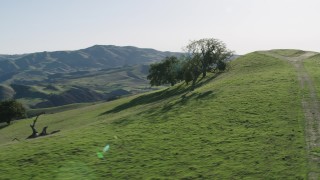 AX70_146 - 4K aerial stock footage Orbit trees on a hilltop in Paicines, California