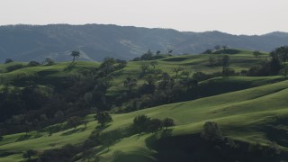 AX70_154 - 4K aerial stock footage Flyby tree covered hillsides in Paicines, California