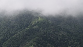 AX70_280 - 4K aerial stock footage of a layer of clouds above tree-covered slopes in the Santa Lucia Range in California