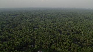 AX76_011E - 4.8K aerial stock footage flying over dense green forest hiding rural homes, Clifton, Virginia, sunset