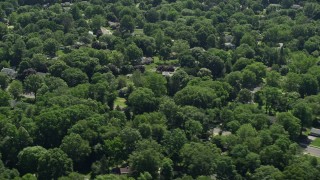 AX82_081 - 4.8K aerial stock footage flying by suburban homes partially hidden by trees, Lawrenceville, New Jersey