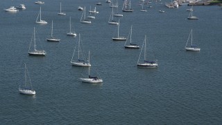 AX91_042 - 4K aerial stock footage of passing by sailboats anchored in the water in Rye, New York