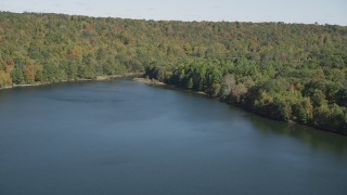 AX91_146 - 4K aerial stock footage tilt from lake to forest on the shore in autumn, Lake Saltonstall, Connecticut
