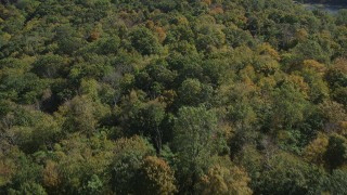 AX91_150 - 4K aerial stock footage of flying over forest in autumn, East Haven, Connecticut