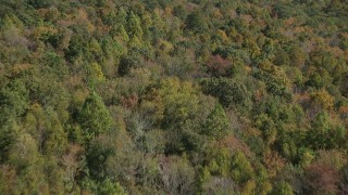 AX91_152 - 4K aerial stock footage of flying over forest in fall, East Haven, Connecticut