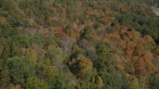 AX91_163 - 4K aerial stock footage video of flying over a forest in autumn, Lake Gallard, Connecticut