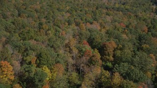 AX91_164 - 4K aerial stock footage of a forest in autumn, Lake Gallard, Connecticut