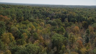AX91_169 - 4K aerial stock footage of flying over lush forest in autumn, Lake Gallard, Connecticut