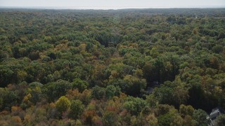 AX91_176 - 4K aerial stock footage of flying over forest, revealing homes in autumn, Guilford, Connecticut