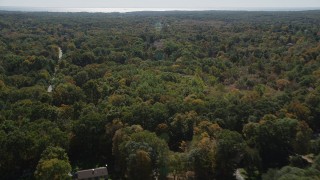 AX91_177 - 4K aerial stock footage flyby homes and forest, reveal road through forest in autumn, Guilford, Connecticut